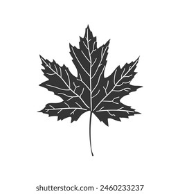 Maple Leaf Icon Silhouette Illustration. Canada Vector Graphic Pictogram Symbol Clip Art. Doodle Sketch Black Sign.