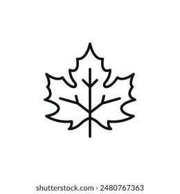 Ahornblatt-Symbol. Simple Maple Leaf Icon für Social Media, App und Webdesign. Vektorillustration