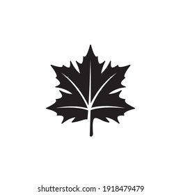 Maple Leaf Icon Symbol Sign Vector