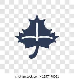 Maple leaf icon. Trendy Maple leaf logo concept on transparent background from camping collection