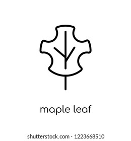 maple leaf icon. Trendy modern flat linear vector maple leaf icon on white background from thin line Camping collection, outline vector illustration