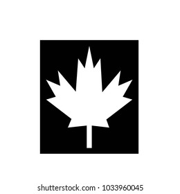 Maple leaf icon vector