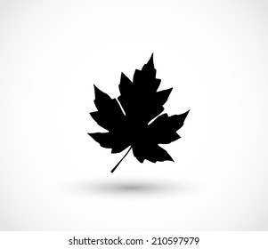 Maple leaf icon vector