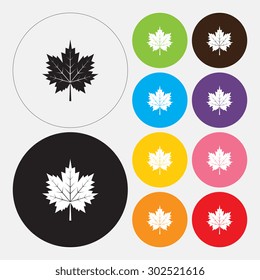 Maple leaf icon - Vector