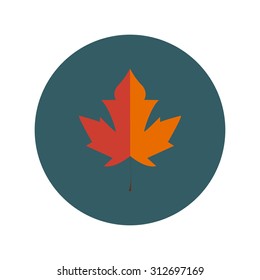 Maple Leaf icon  vector