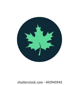 Maple leaf icon vector, clip art. Also useful as logo, circle app icon, web element, symbol, graphic image, silhouette and illustration.