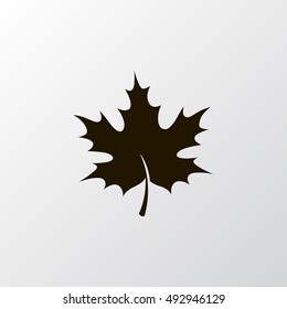 Maple leaf icon vector, clip art. Also useful as logo, web element, symbol, graphic image, silhouette and illustration.