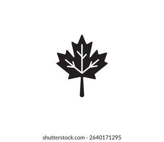 Maple Leaf icon vector design art illustration