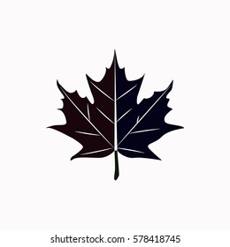 Maple leaf  icon Vector design.