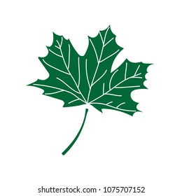 maple leaf icon vector illustration on white background