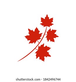 Maple leaf icon vector illustration