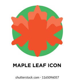 Maple leaf icon vector isolated on white background, Maple leaf transparent sign , colorful symbols