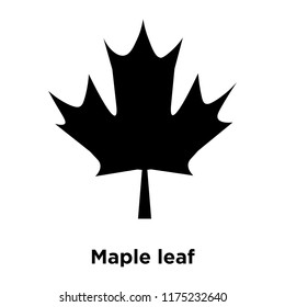 Maple leaf icon vector isolated on white background, logo concept of Maple leaf sign on transparent background, filled black symbol