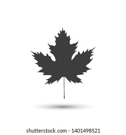 Maple leaf icon. Vector isolated leaf silhouette for design, logo, advertising banner.