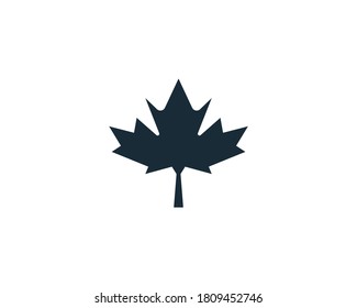 Maple Leaf Icon Vector Logo Template Illustration Design
