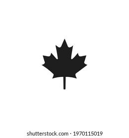maple leaf icon vector on a white background