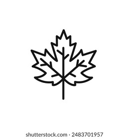 Maple leaf icon vector set collection for web