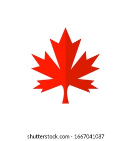 Maple leaf icon vector in trendy isolated