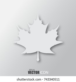 Maple leaf icon in white style with shadow isolated on grey background. For your design, logo. Vector illustration.
