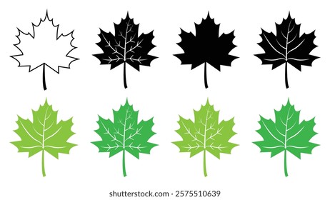 Maple leaf icons different style. Set of flat maple leaf shape icons isolated on white background. Collection of maple leaf icons. Forest and wood signs symbol. Vector illustration.