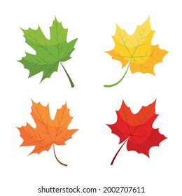 Maple leaf icons in red, yellow, and green colors isolated on white background. Autumn nature set vector illustration.