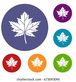 Maple leaf icons set in flat circle reb, blue and green color for web