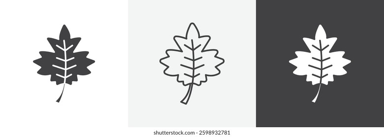 Maple Leaf icons in Thin line black color. flat simple vector symbols illustration.
