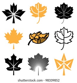 maple leaf icons vector set