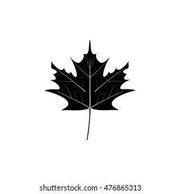 maple leaf icon,vector illustration