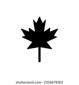 Maple leaf icon,vector illustration.maple leaf icons graphic design vector symbols.Flat design style. vector maple leaf icon illustration