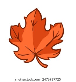 Maple leaf illustration. Autumn natural tree foliage.