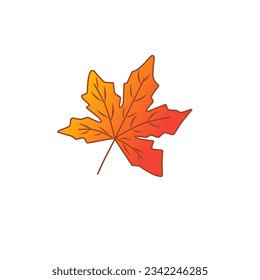 maple leaf illustration design. maple leaf icon