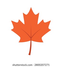 Maple Leaf Illustration Design Template