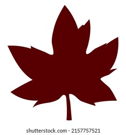 maple leaf illustration over white