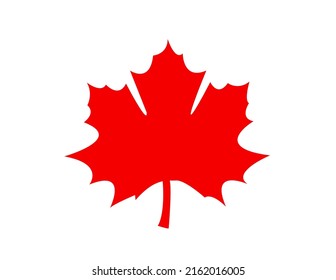 maple leaf illustration vector illustration