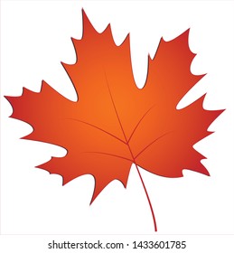 Maple leaf images written with vector