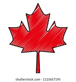 maple leaf isolated icon