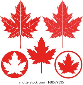 Maple leaf. Isolated maple on white background. Logo