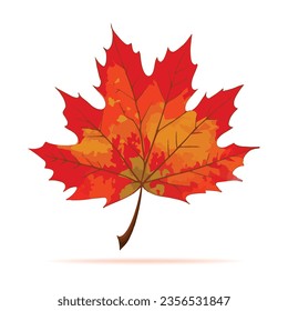 Hojas de arce aisladas en blanco, color de otoño, ilustración vectorial