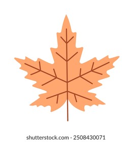 Maple leaf isolated on white background. Autumn tree leaf. Foliage
