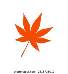 Maple leaf isolated on white background.