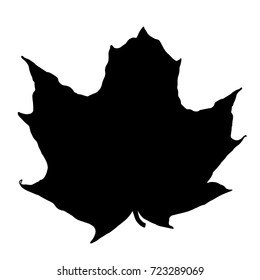 Maple Leaf Isolated on White Background. Vector Illustration. EPS10
