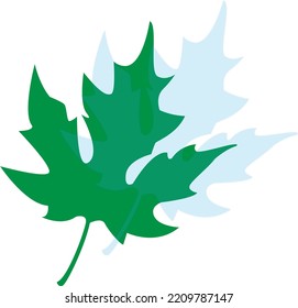 Maple leaf isolated vector illustration for logo