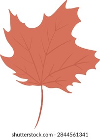 Maple leaf with jagged lobes and visible veins, single stem on clean background in cartoon style. Symbol of autumn, season change, nature, and nostalgia. Cartoon vector illustration.