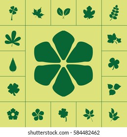 Maple Leaf. Leaves icon set