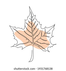 Maple Leaf Line Art. Autumn Leaves Hand Drawn Design Minimalism Art.