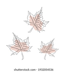 Maple leaf line art. Autumn leaves hand drawn design Minimalism art.