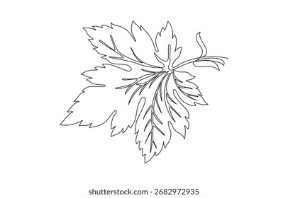 Ahornblatt Linie Kunst. Herbst Blätter Kunst, kontinuierliche Linie Kunst Zeichnung Herbst Blätter,