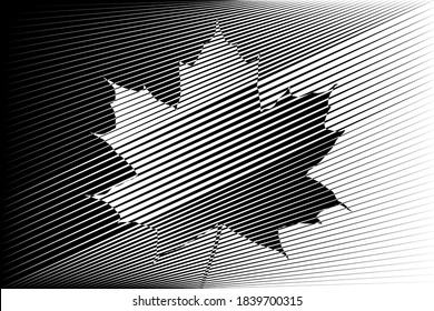 Hoja de arce, arte de línea, patrón de líneas de semitono en blanco y negro, ilustración vectorial.