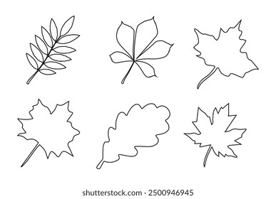 Maple leaf line art design set.